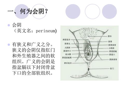 陰男 意思|阴男是什么意思？